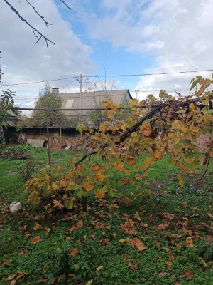 Продам дом в Мерефе