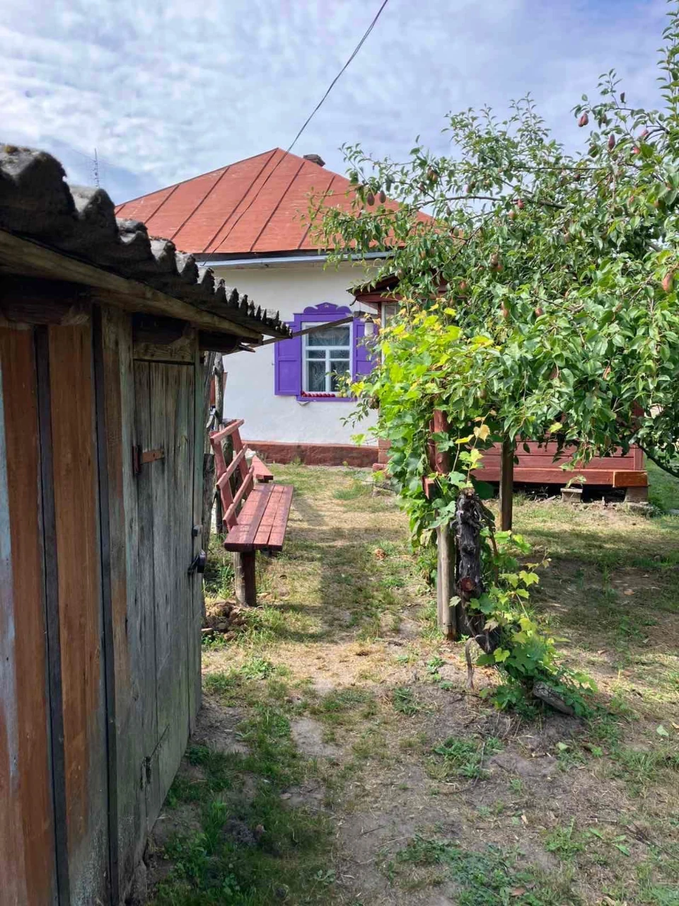 Будинок в мальовничому селі Коропʼє,що на Чернігівщині.