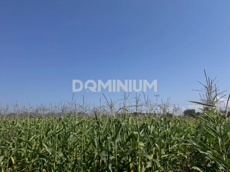 Land for agricultural purposes sale. Hrust