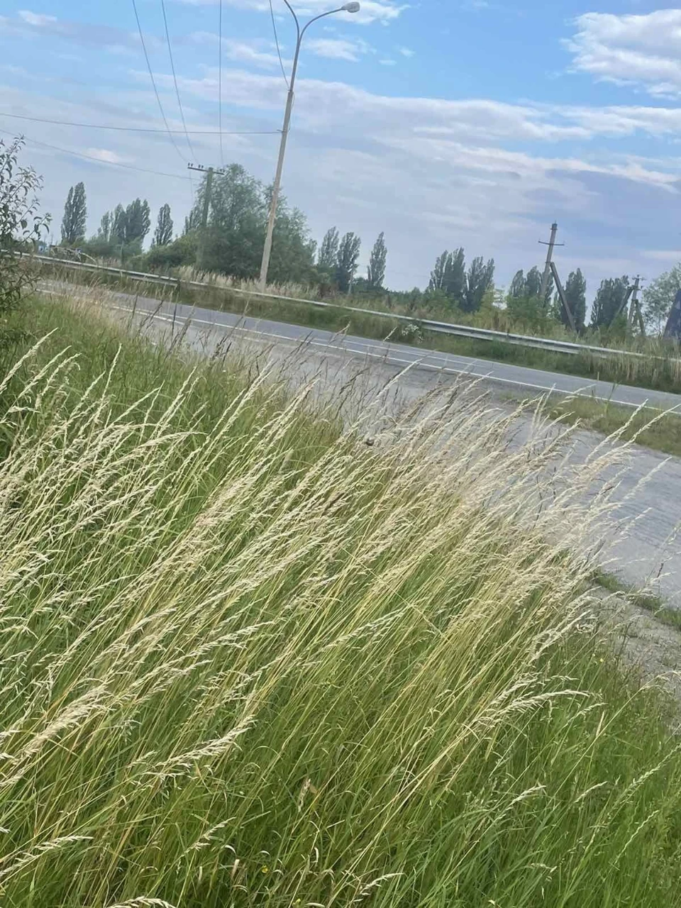 Продається земельна ділянка біля головної траси
