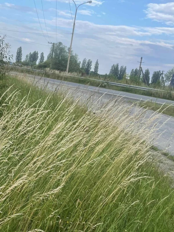 Land plot near the main road for sale