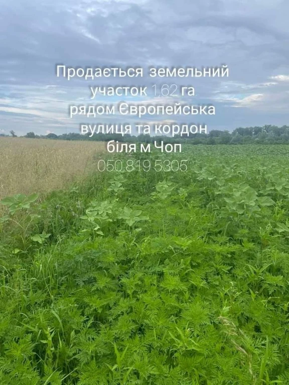 Land plot near the border, Chop