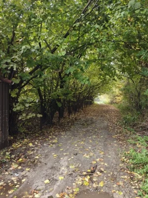 Участок 20 соток в городе Васильков