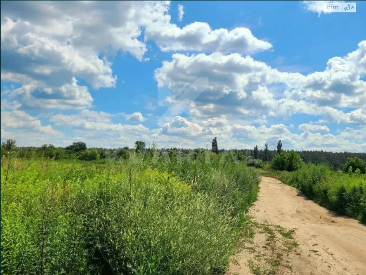 Продаж земельної ділянки під сільськогосподарське використання