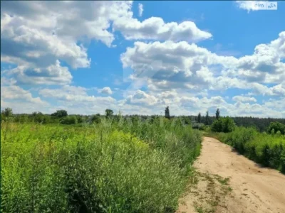 Продаж земельної ділянки під сільськогосподарське використання