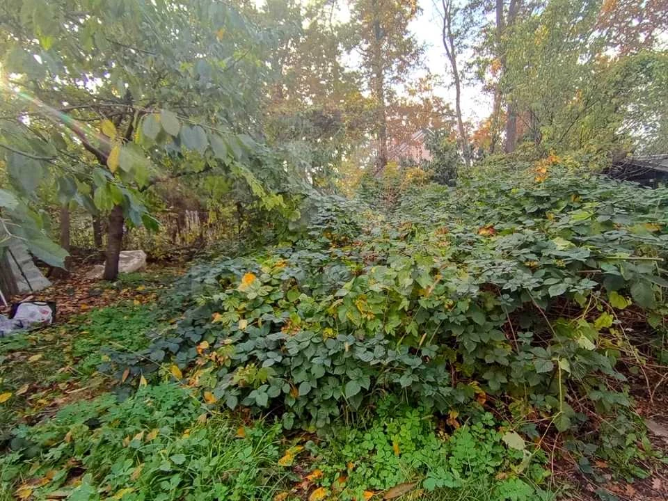 Ділянка. Ірпінь, Павленка вул.