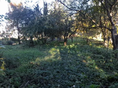 Цегляний будинок з мансардою у селі Вороньків