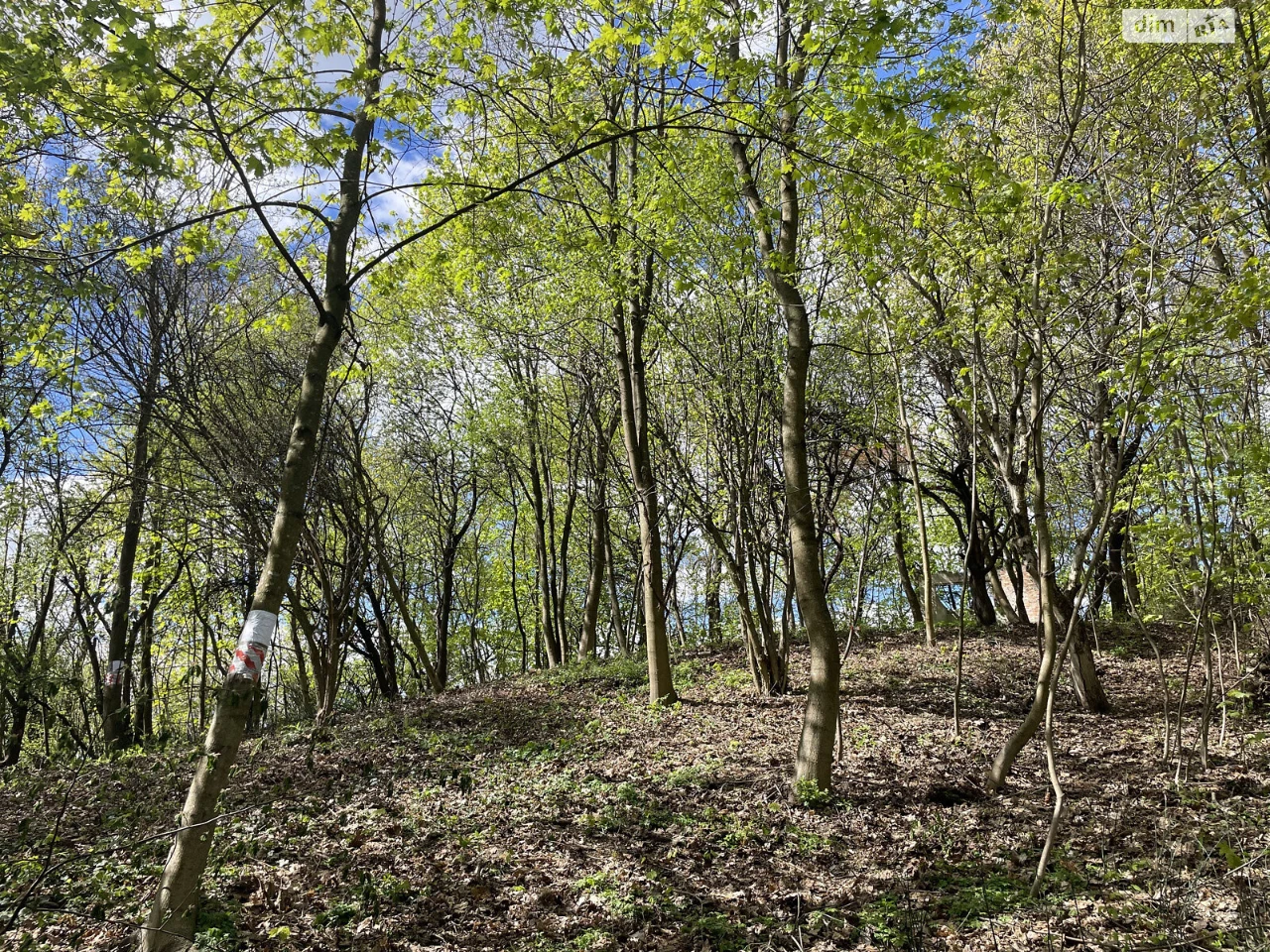 Land for residential development in Holosko
