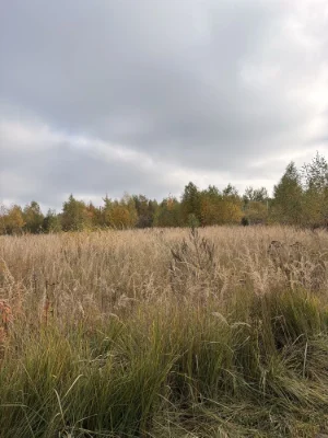 Земельный участок под жилую застройку, Суховоля.