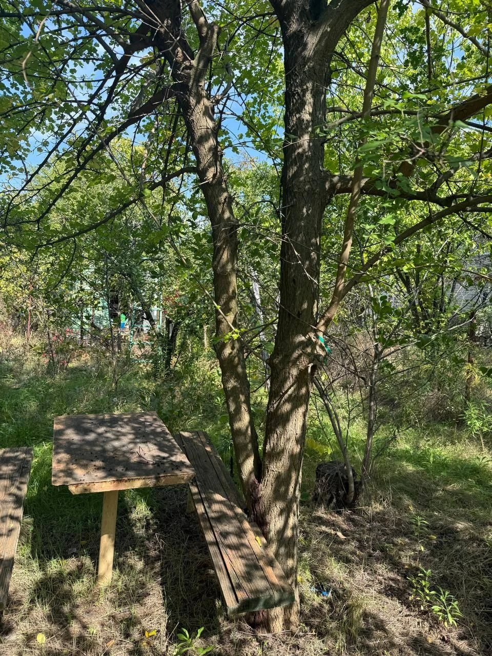 Plot of 12 acres in village of Bogdanovka to the river 1 km