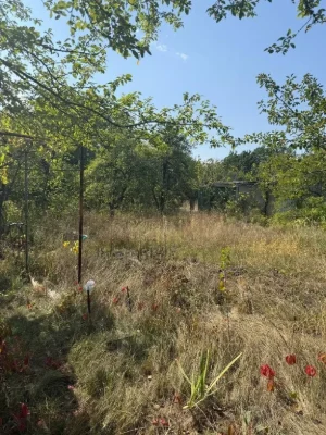 Plot of 12 acres in village of Bogdanovka to the river 1 km