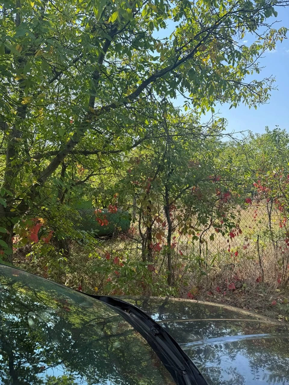 Plot of 12 acres in village of Bogdanovka to the river 1 km
