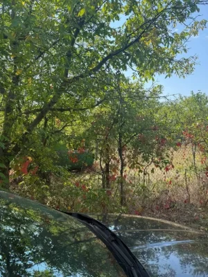 Plot of 12 acres in village of Bogdanovka to the river 1 km