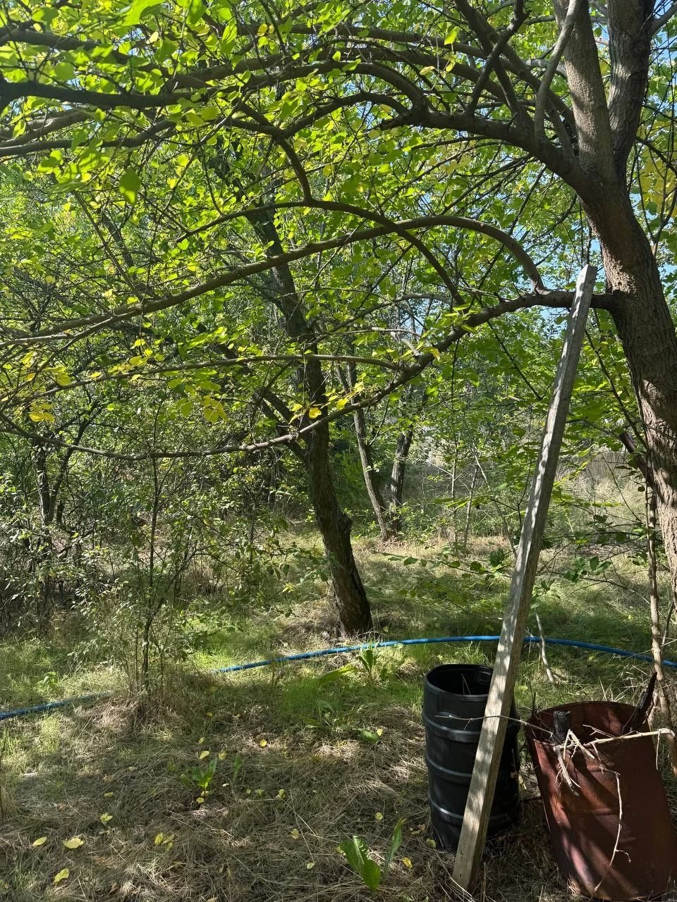 Plot of 12 acres in village of Bogdanovka to the river 1 km