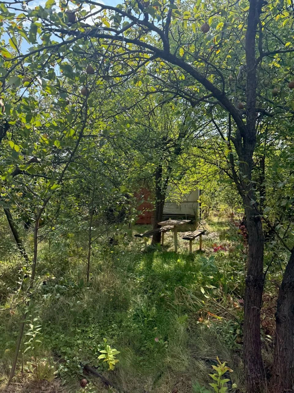 Plot of 12 acres in village of Bogdanovka to the river 1 km