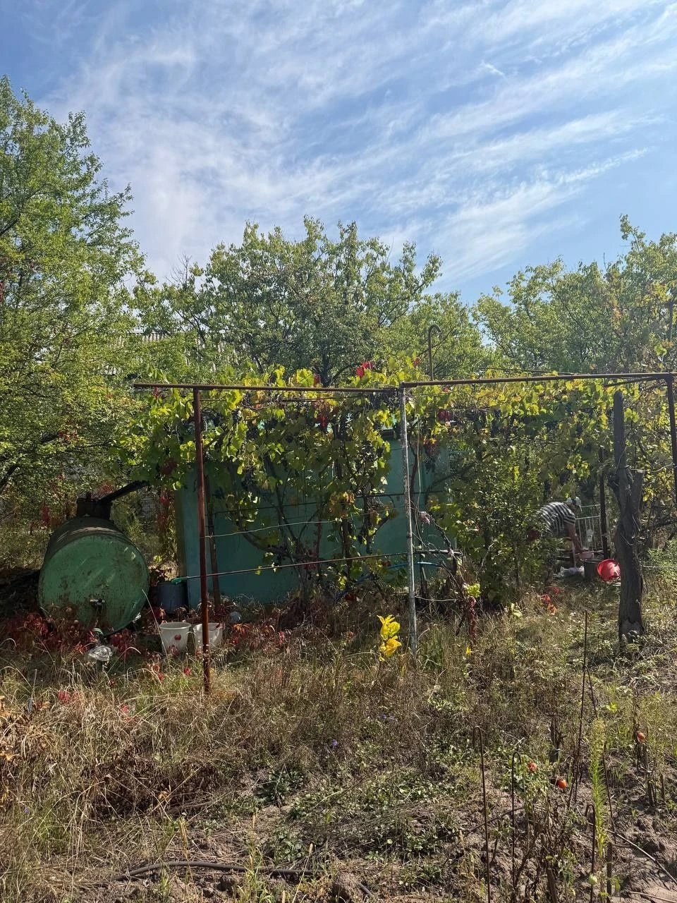 Plot of 12 acres in village of Bogdanovka to the river 1 km