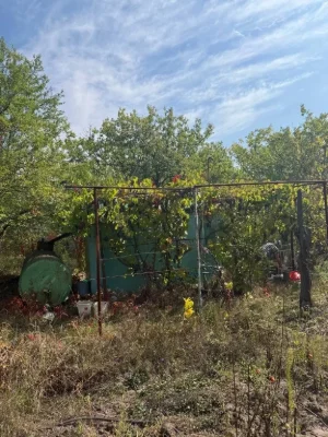 Plot of 12 acres in village of Bogdanovka to the river 1 km