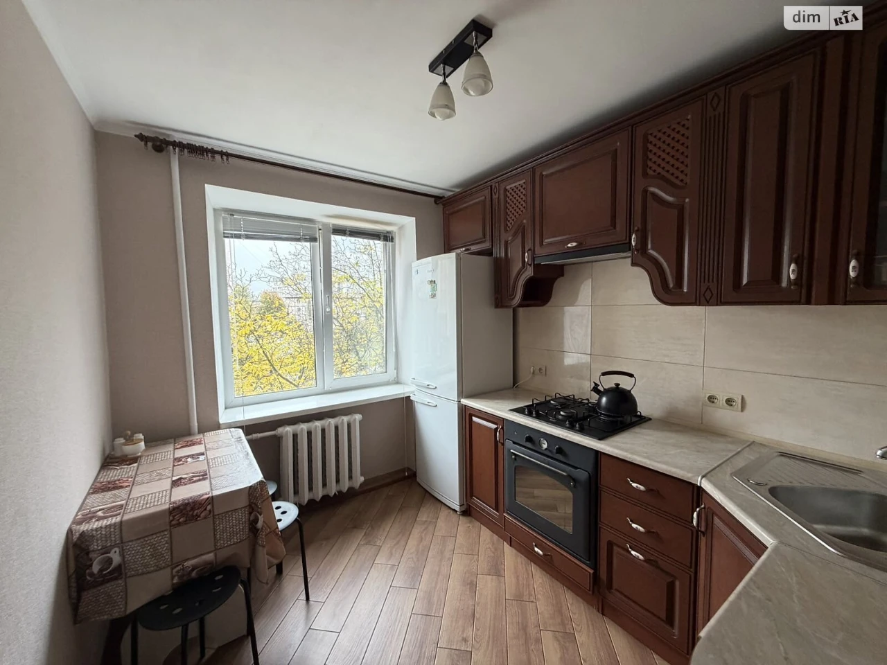 Long-Term Rental Apartment "Vishchka"