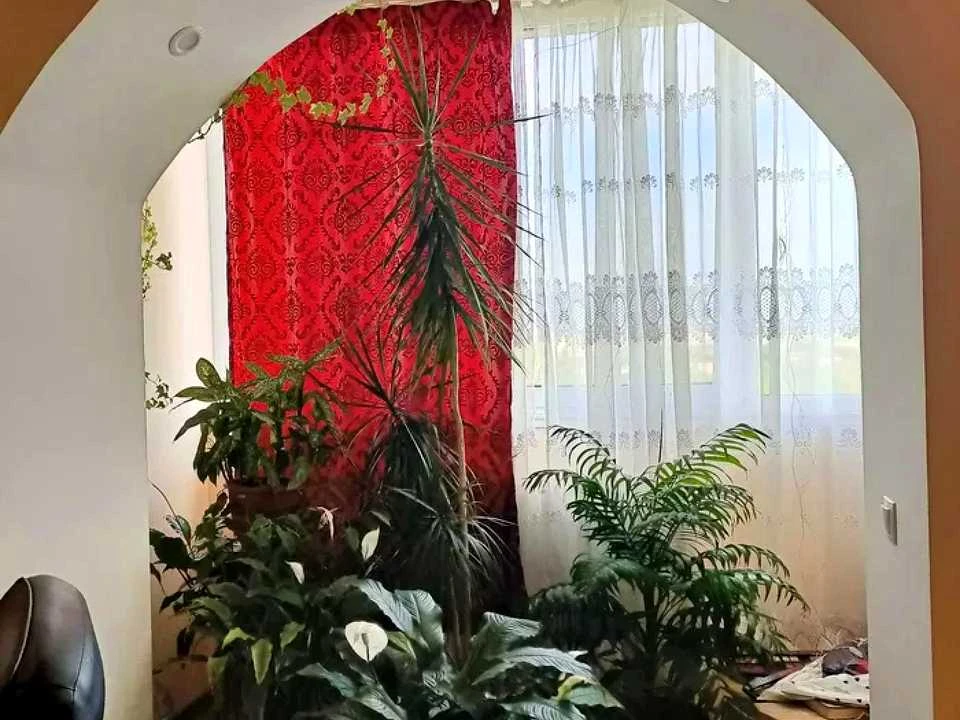 Квартира. Івано-Франківськ, Пасічна вулиця