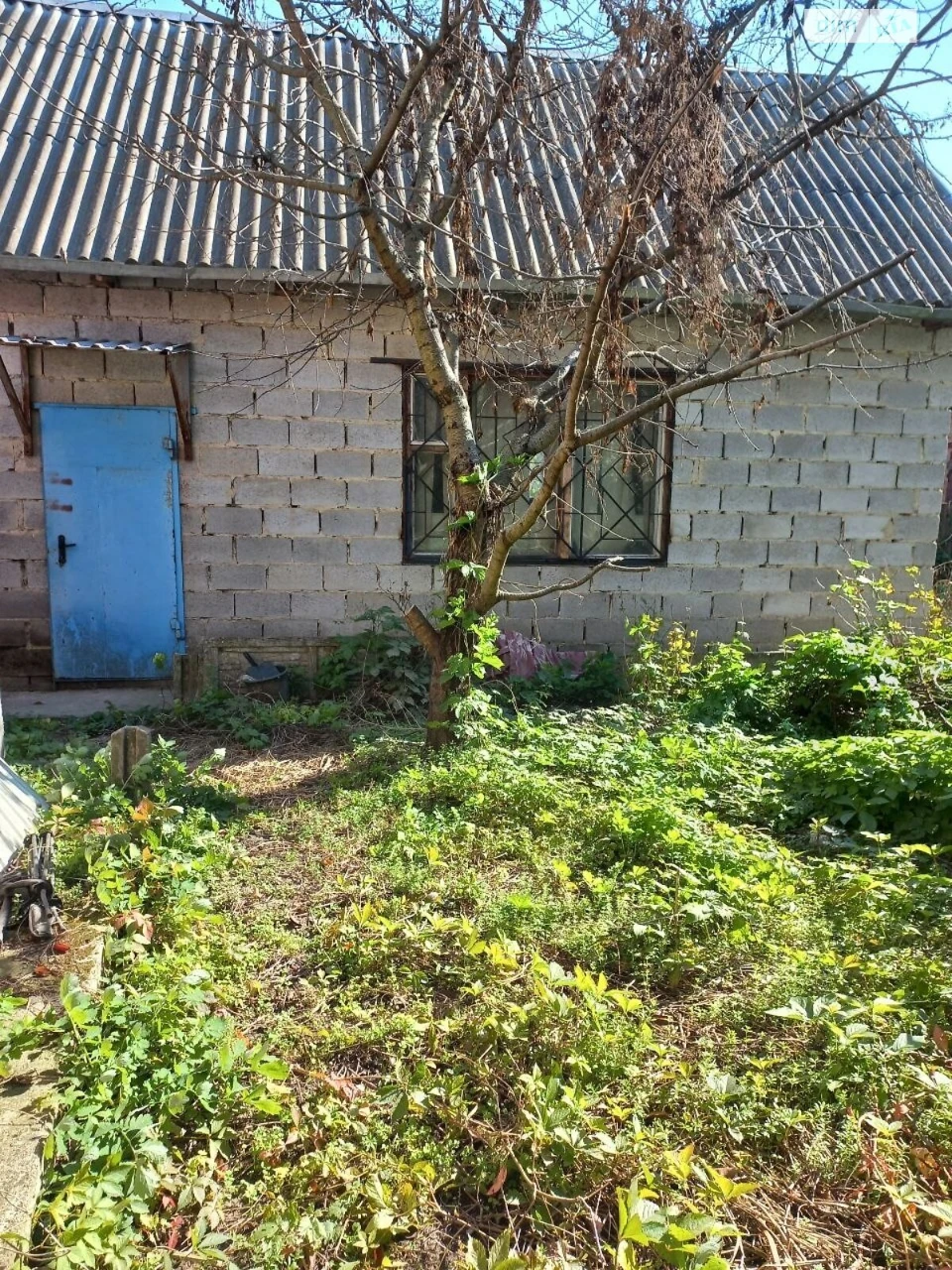 Продаж Будинку в Новобалашівці