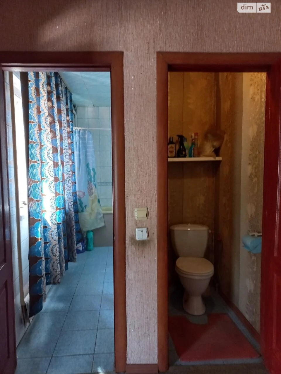 Продаж Будинку в Новобалашівці