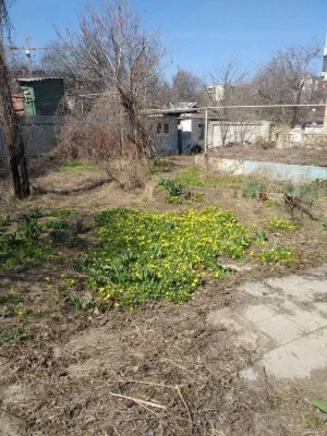 Участок в Аркадии 5.3 сотки.
