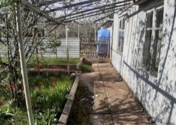 Dacha, Khadzhibeevsky estuary.