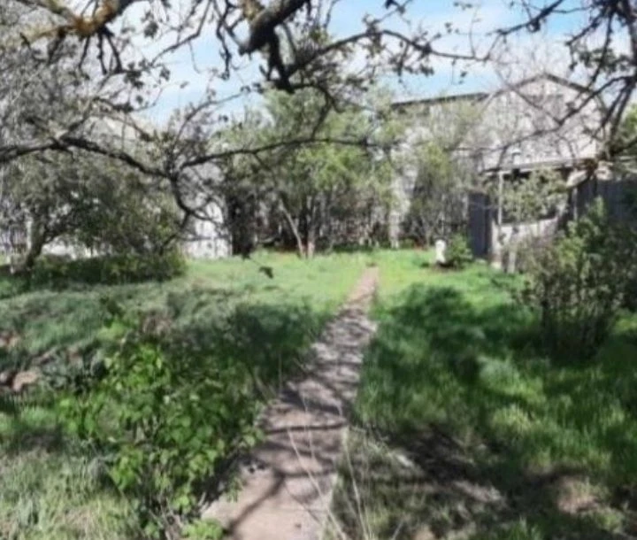 Dacha, Khadzhibeevsky estuary.