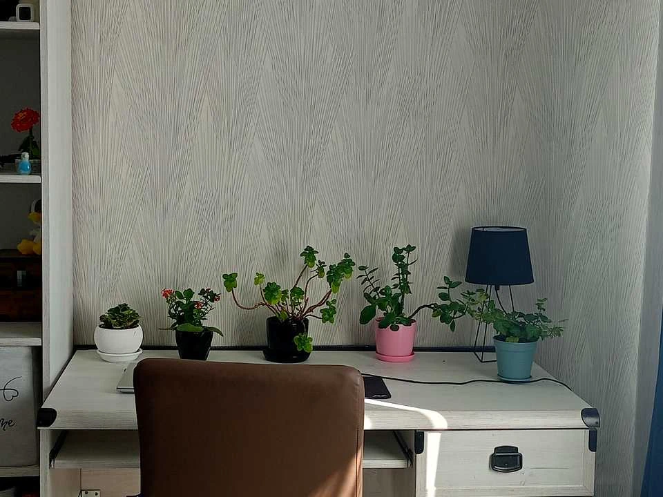 Apartment. Kyiv, Almaty St. (Alma-Atynska)