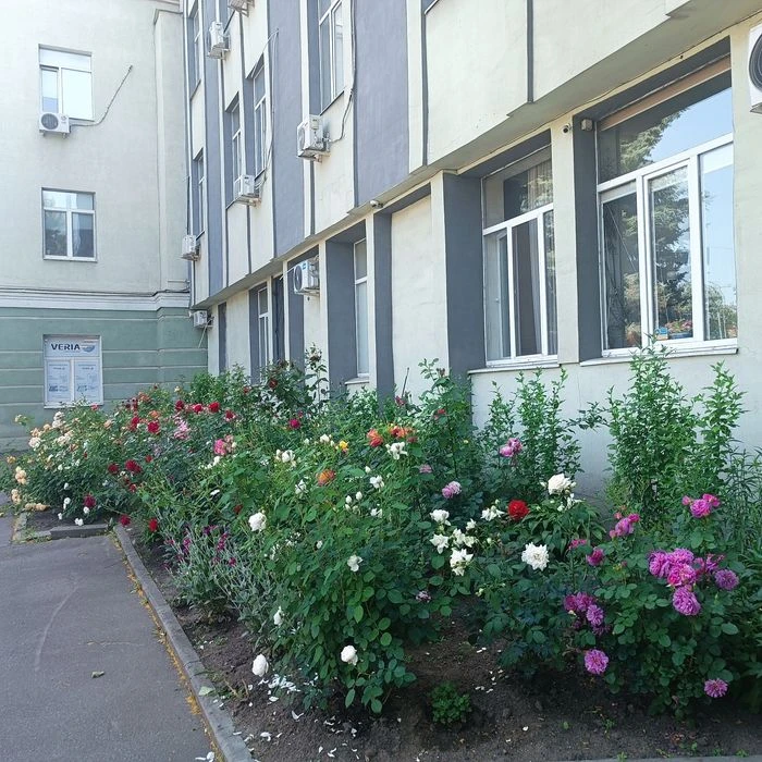 Продаж СМАРТ квартири метро Захисників України
