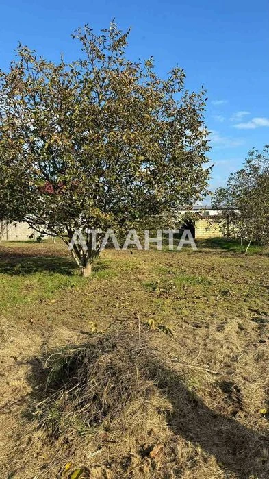 В продаже участок 6 соток в Царском селе 2