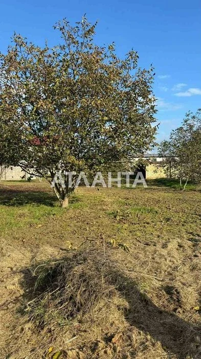 В продаже участок 6 соток в Царском селе 2