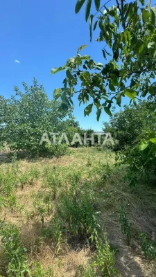 В продаже участок 6 соток в Царском селе 2