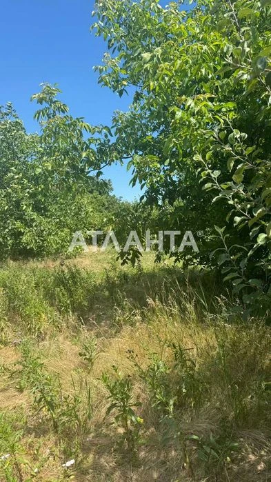 В продаже участок 6 соток в Царском селе 2