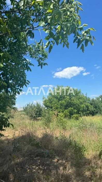 В продаже участок 6 соток в Царском селе 2