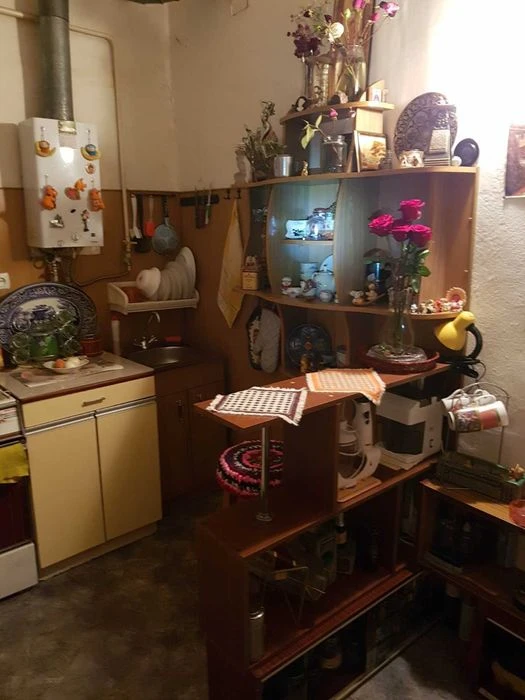 A room in a communal apartment with one neighbor