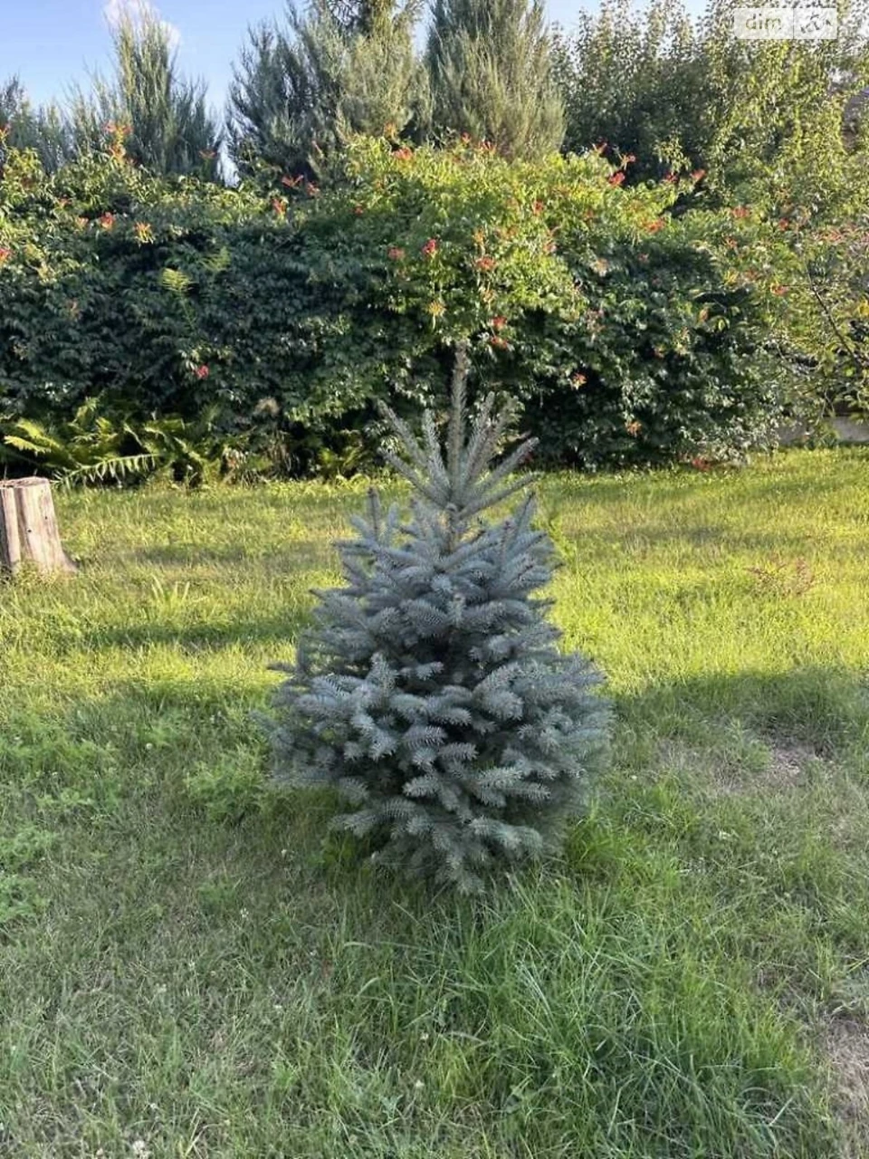 Продаж Дім Вакуленці
