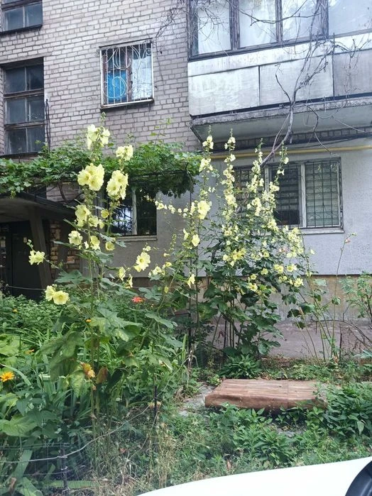2-room apartment on Portova Street from the owner. Certificate available