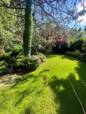 9th century B. Fontana! Homestead on 13 acres with access to the park! 1A37