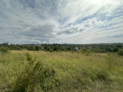 Продаж Земля сільськогосподарського призначення Ракове