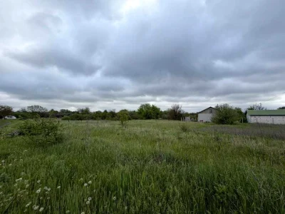 Ділянка. Полтава, Перепелина