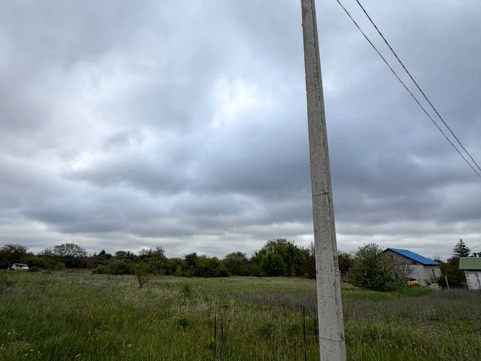 Ділянка. Полтава, Перепелина