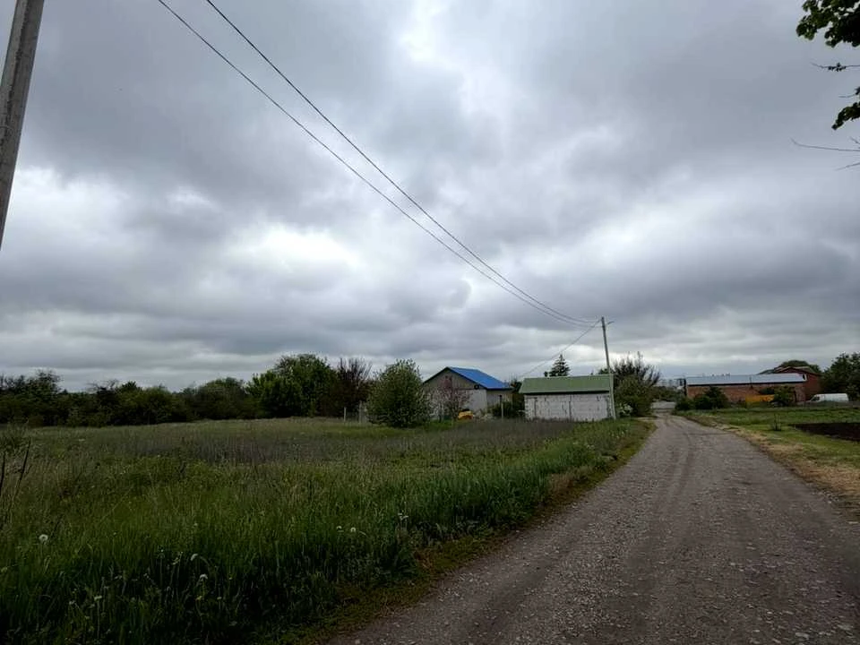 Ділянка. Полтава, Перепелина