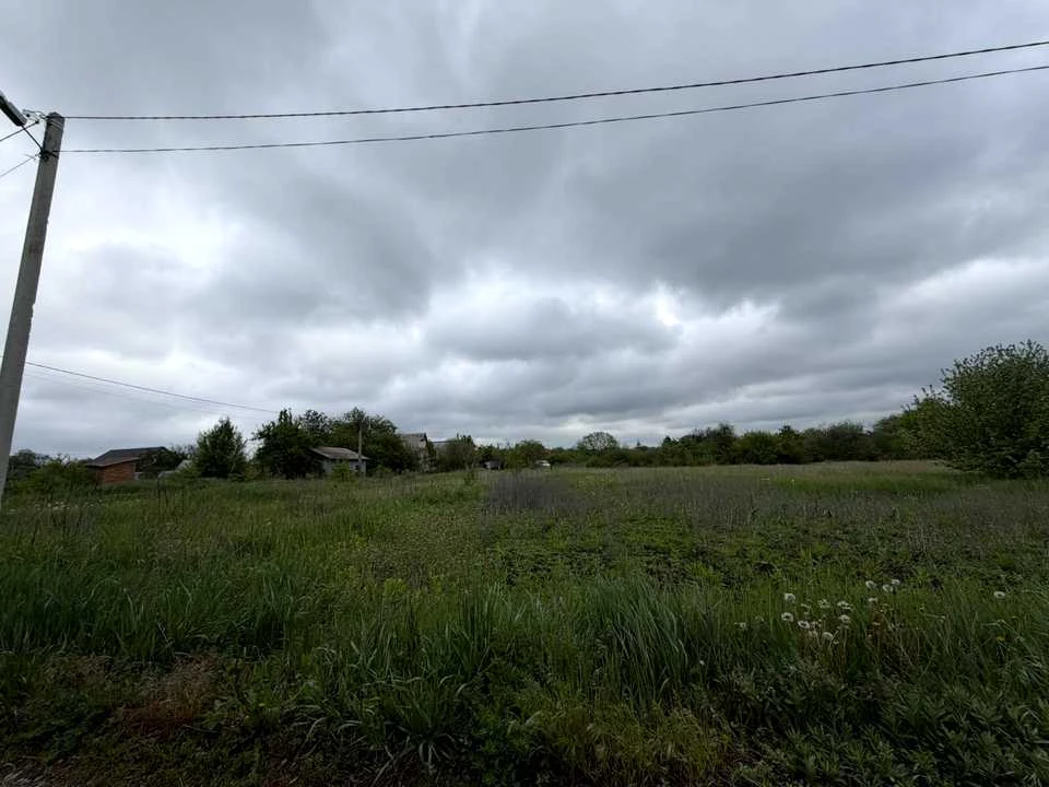 Ділянка. Полтава, Перепелина