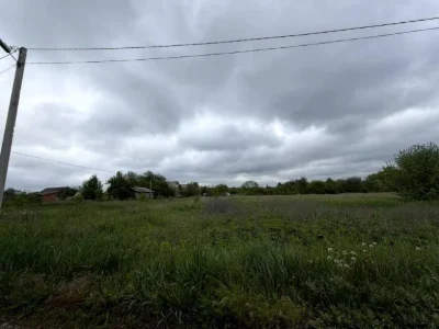 Ділянка. Полтава, Перепелина