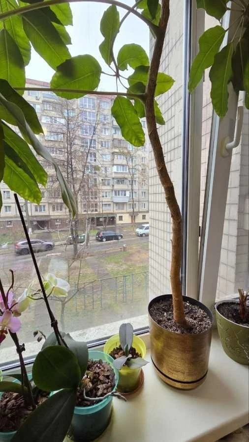 1-room apartment for sale 22 m², Koltsova Blvd., 17G