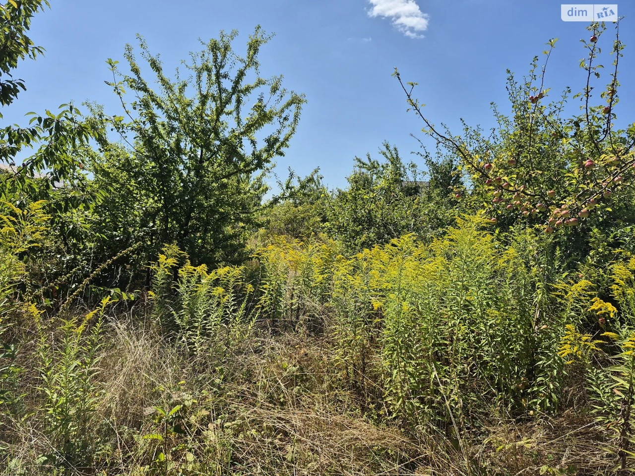 Продаж Ділянка під житлову забудову Старе місто