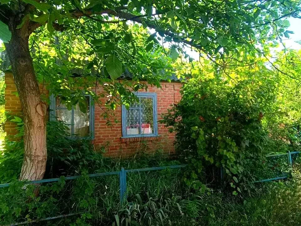 Будинок. Полтава, Ромашкова вул.