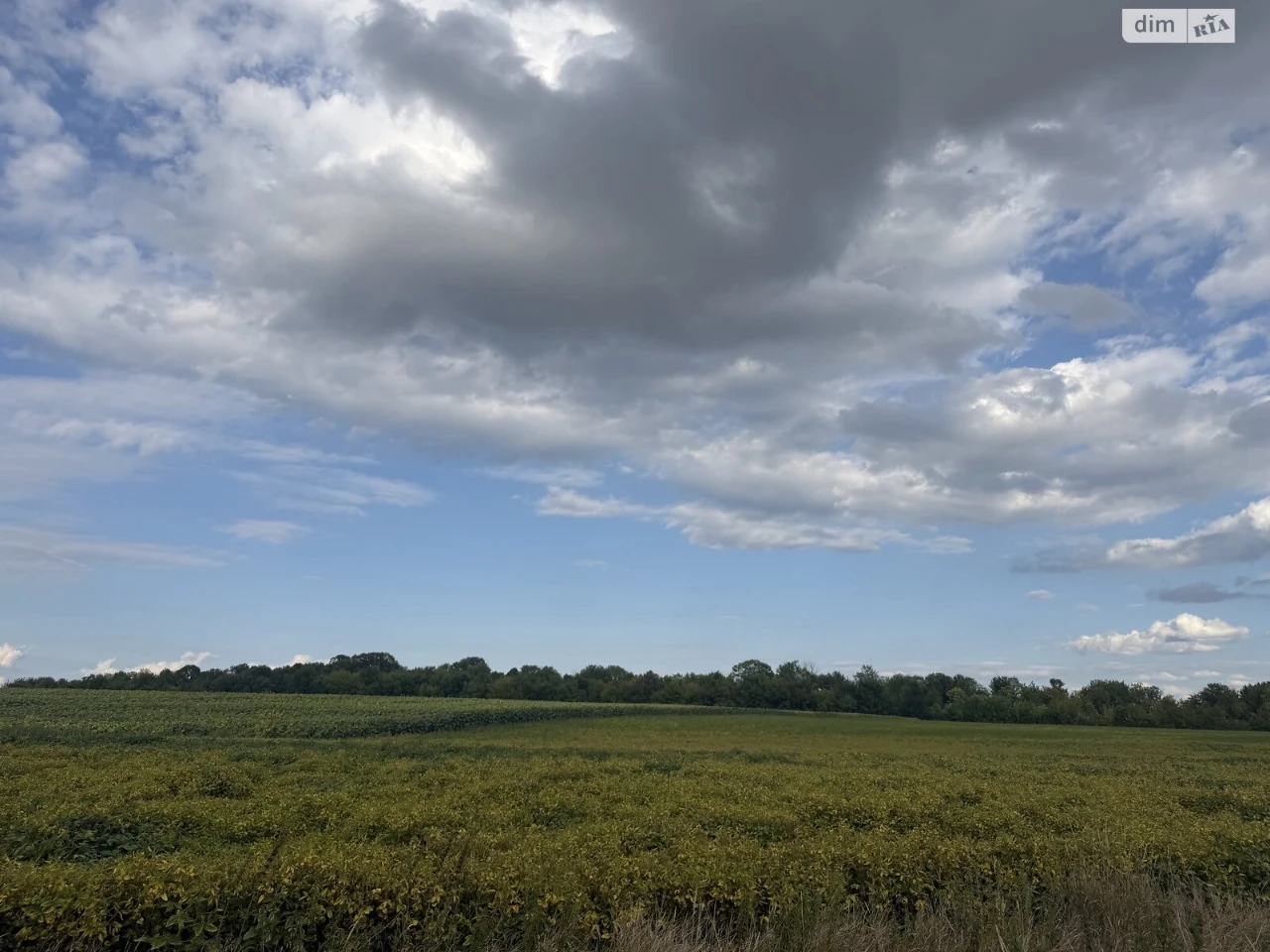 Agricultural land for sale