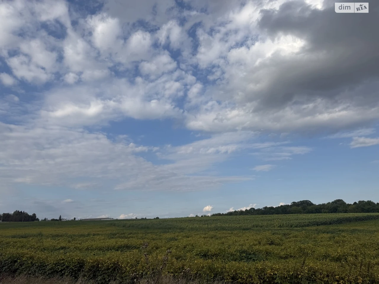 Agricultural land for sale